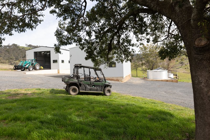 Photo - 2543 Westbrook Road, Oberne Creek NSW 2650 - Image 29