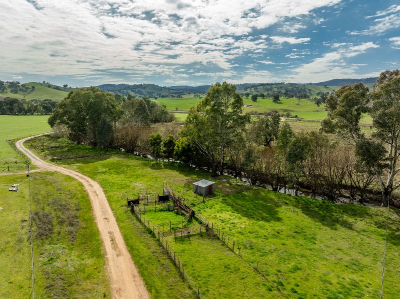 Photo - 2543 Westbrook Road, Oberne Creek NSW 2650 - Image 30