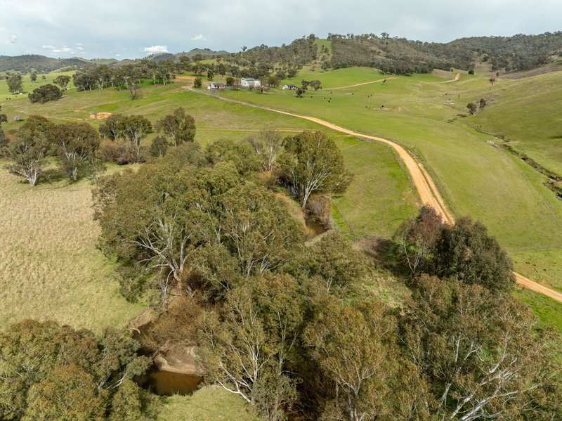Photo - 2543 Westbrook Road, Oberne Creek NSW 2650 - Image 32
