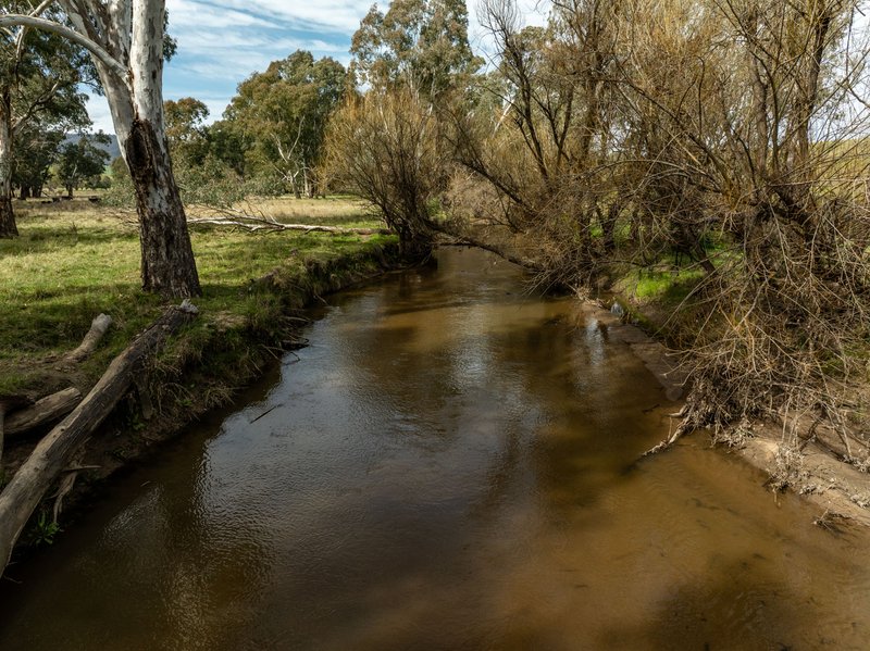 Photo - 2543 Westbrook Road, Oberne Creek NSW 2650 - Image 33