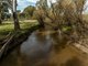 Photo - 2543 Westbrook Road, Oberne Creek NSW 2650 - Image 33