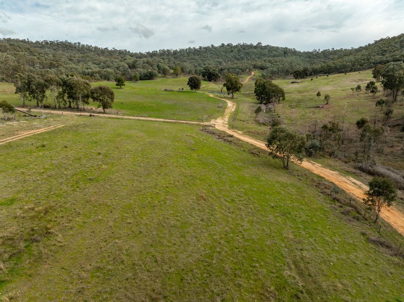 Photo - 2543 Westbrook Road, Oberne Creek NSW 2650 - Image 34