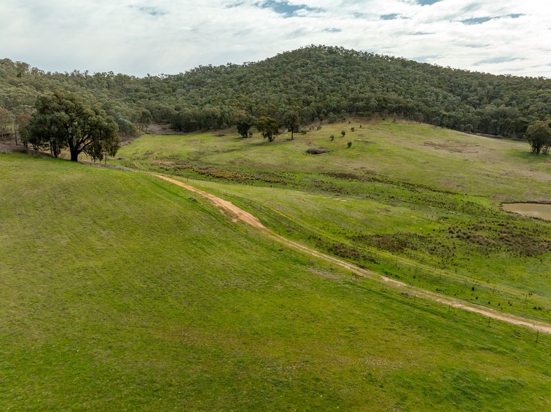 Photo - 2543 Westbrook Road, Oberne Creek NSW 2650 - Image 35