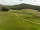 Photo - 2543 Westbrook Road, Oberne Creek NSW 2650 - Image 35