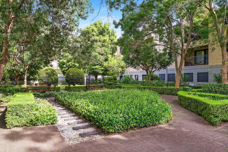Photo - 25/45 Trafalgar Street, Annandale NSW 2038 - Image 17
