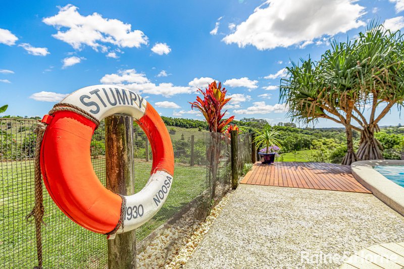 Photo - 255 Cooroy Belli Creek Road, Cooroy QLD 4563 - Image 8