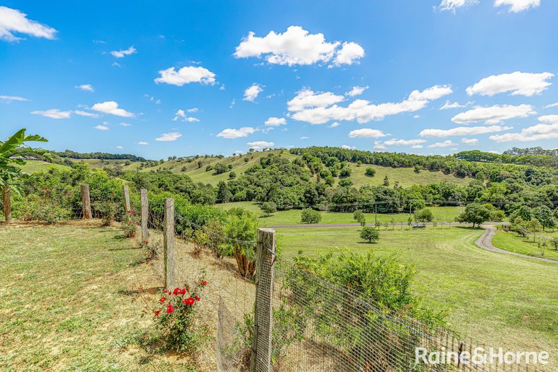 Photo - 255 Cooroy Belli Creek Road, Cooroy QLD 4563 - Image 32