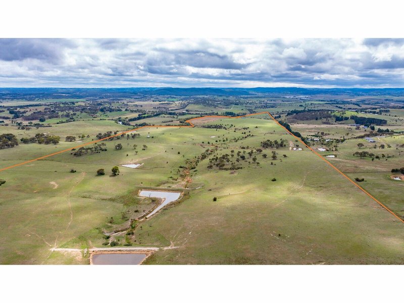Photo - 255 Gurrundah Road, Goulburn NSW 2580 - Image 5