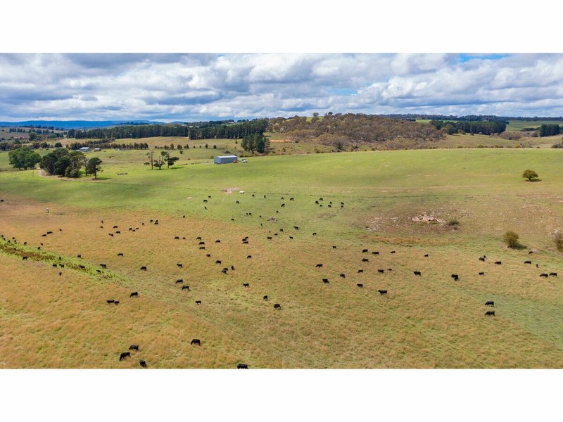 Photo - 255 Gurrundah Road, Goulburn NSW 2580 - Image 8