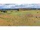 Photo - 255 Gurrundah Road, Goulburn NSW 2580 - Image 8