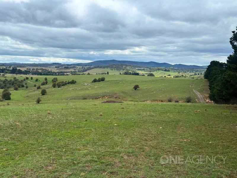 Photo - 255 Gurrundah Road, Goulburn NSW 2580 - Image 9