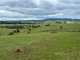 Photo - 255 Gurrundah Road, Goulburn NSW 2580 - Image 10