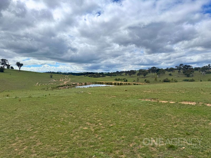 Photo - 255 Gurrundah Road, Goulburn NSW 2580 - Image 12