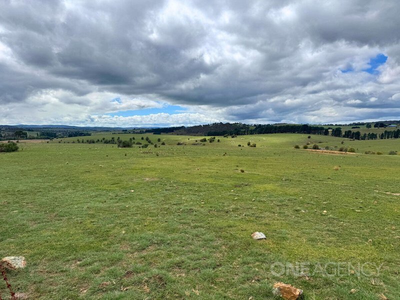 Photo - 255 Gurrundah Road, Goulburn NSW 2580 - Image 13