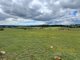 Photo - 255 Gurrundah Road, Goulburn NSW 2580 - Image 13