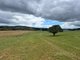 Photo - 255 Gurrundah Road, Goulburn NSW 2580 - Image 14