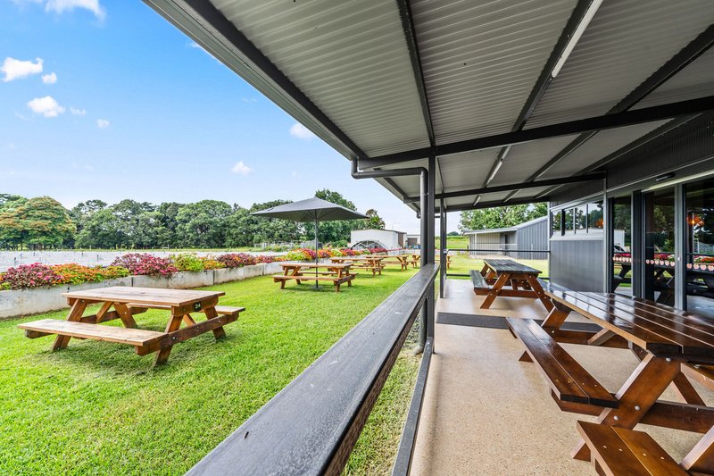 Photo - 255 Marks Lane, Atherton QLD 4883 - Image 4