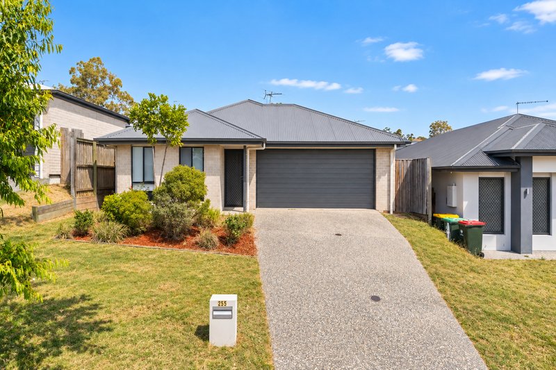Photo - 255 Tallagandra Road, Holmview QLD 4207 - Image 1