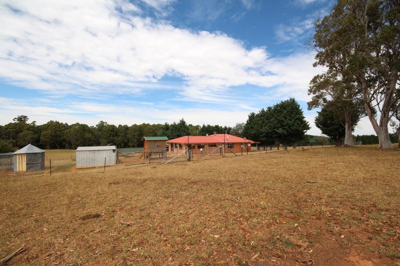 Photo - 2555 Shooters Hill Road, Oberon NSW 2787 - Image 15