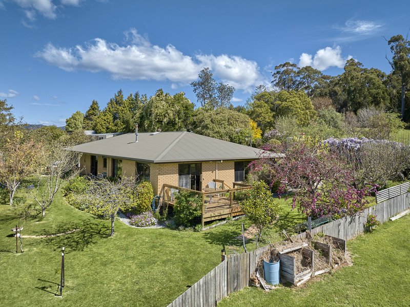 Photo - 25598 Tasman Highway, St Helens TAS 7216 - Image 15