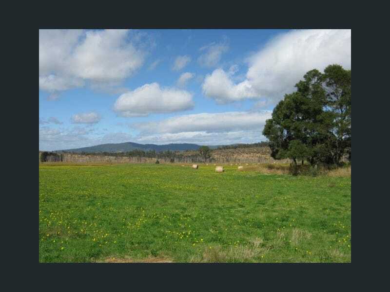 Photo - 257 Bacala Road, Tunnel TAS 7254 - Image 8