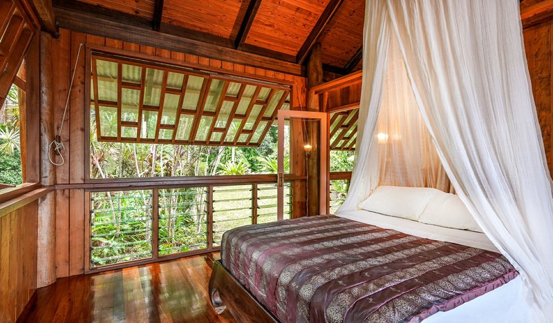 Photo - 257 Cape Kimberley Road, Daintree QLD 4873 - Image 10