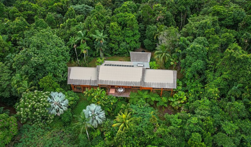 Photo - 257 Cape Kimberley Road, Daintree QLD 4873 - Image 11