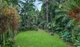 Photo - 257 Cape Kimberley Road, Daintree QLD 4873 - Image 21