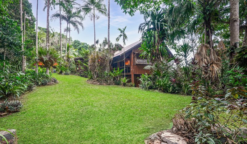 Photo - 257 Cape Kimberley Road, Daintree QLD 4873 - Image 22