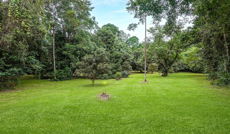 Photo - 257 Cape Kimberley Road, Daintree QLD 4873 - Image 24