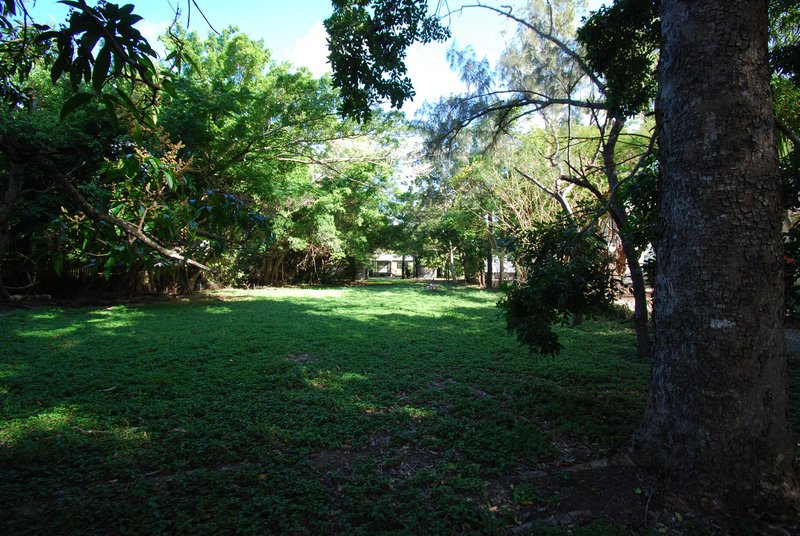 Photo - 2571 Shute Harbour Road, Jubilee Pocket QLD 4802 - Image 5