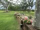 Photo - 2575 Anderleigh Road, Kia Ora QLD 4570 - Image 6