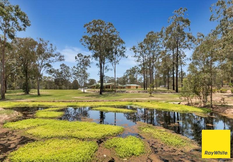 Photo - 258-268 Miller Road, Logan Village QLD 4207 - Image 15