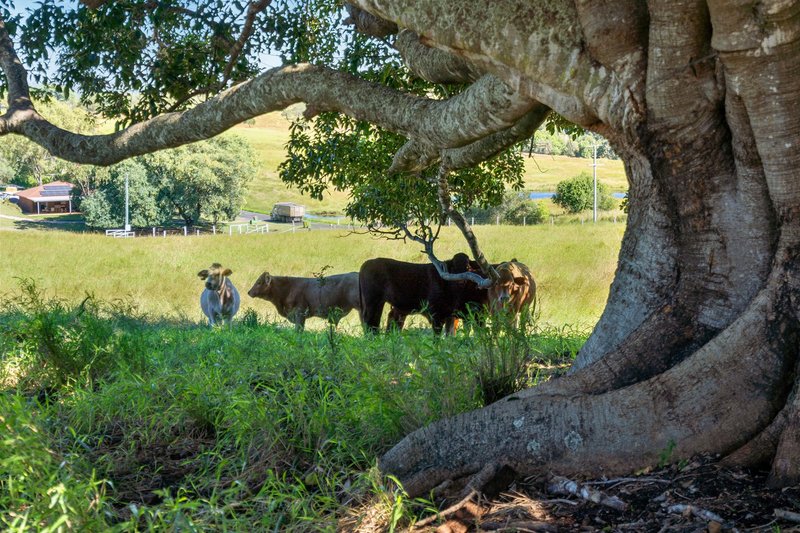 Photo - 258-280 Haigslea Malabar Road, Haigslea QLD 4306 - Image 7