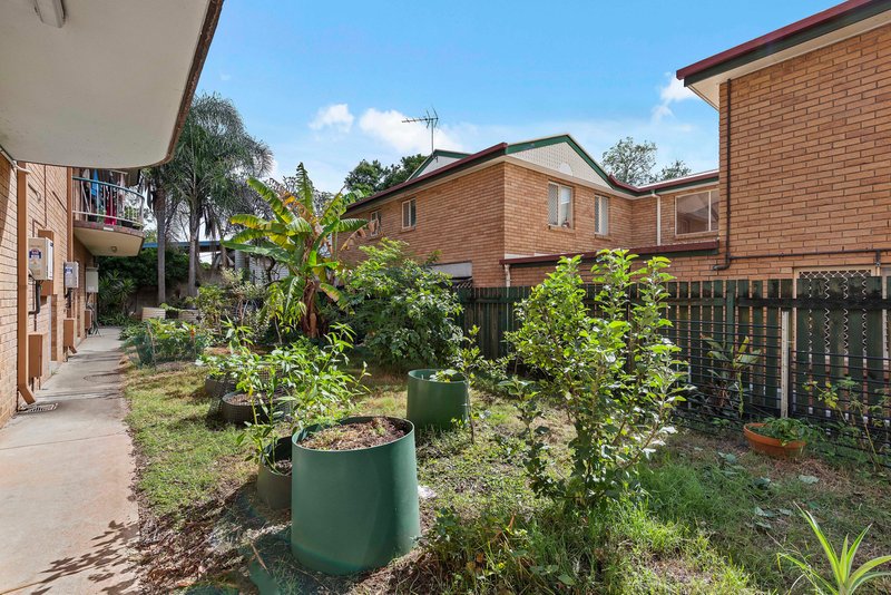 Photo - 2/58 College Street, Hamilton QLD 4007 - Image 18