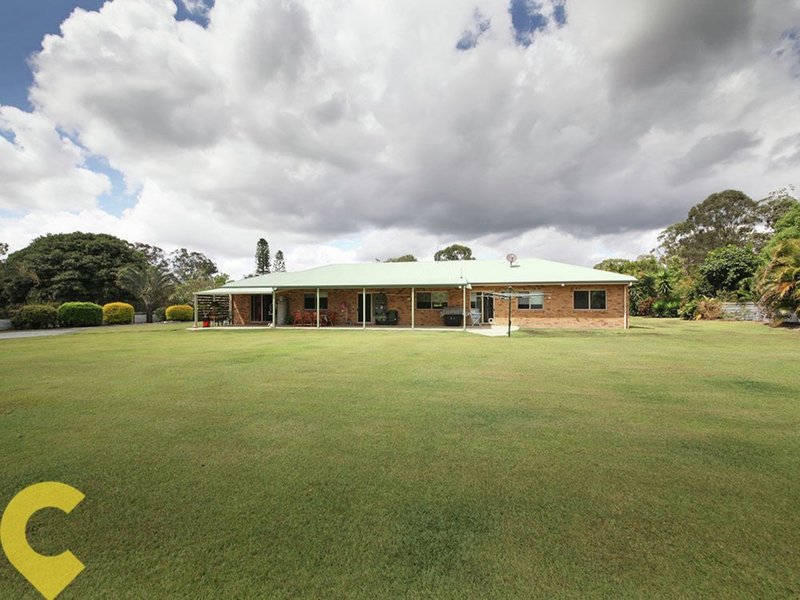 Photo - 258 Peterson Road, Morayfield QLD 4506 - Image 21