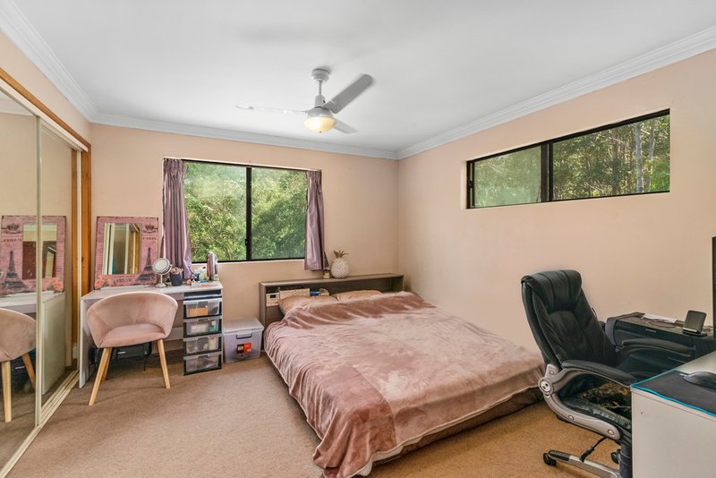 Photo - 258 Piggabeen Road, Currumbin Valley QLD 4223 - Image 7