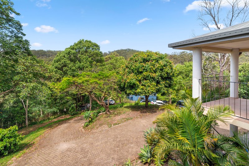 Photo - 258 Piggabeen Road, Currumbin Valley QLD 4223 - Image 12