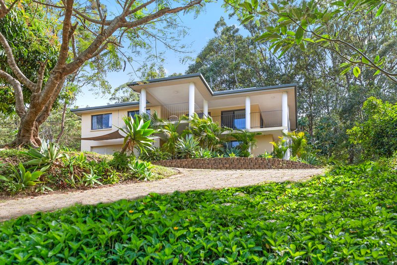 Photo - 258 Piggabeen Road, Currumbin Valley QLD 4223 - Image 13