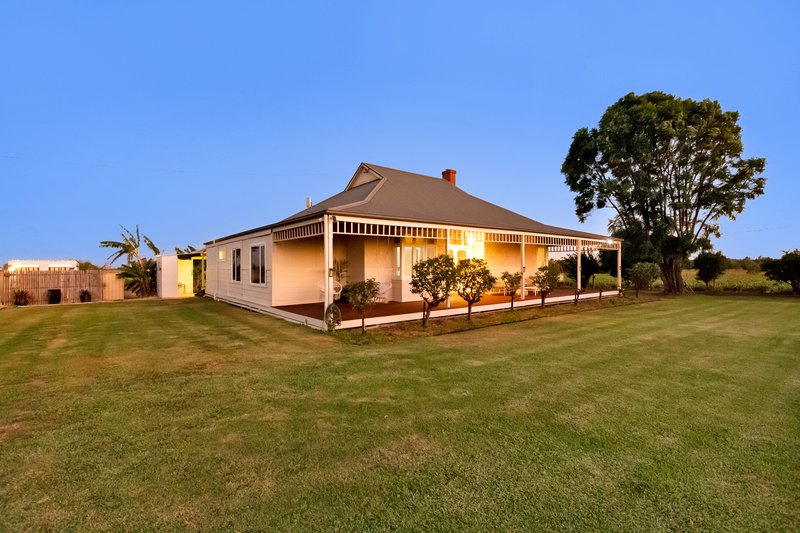 Photo - 258 River Avenue, Birdwoodton VIC 3505 - Image 3