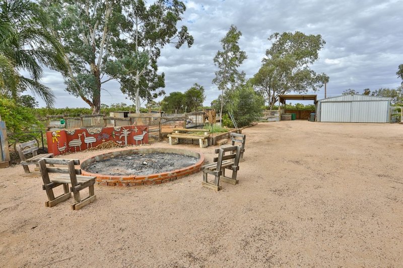 Photo - 258 Wilga Road, Red Cliffs VIC 3496 - Image 9