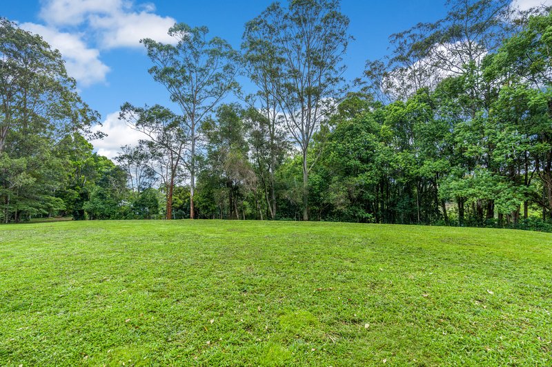 Photo - 259 Arthur Road, Dorroughby NSW 2480 - Image 12