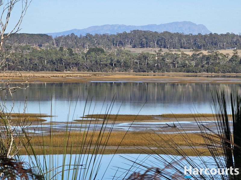 Photo - 259 Eagle Point Road, Bakers Beach TAS 7307 - Image 3