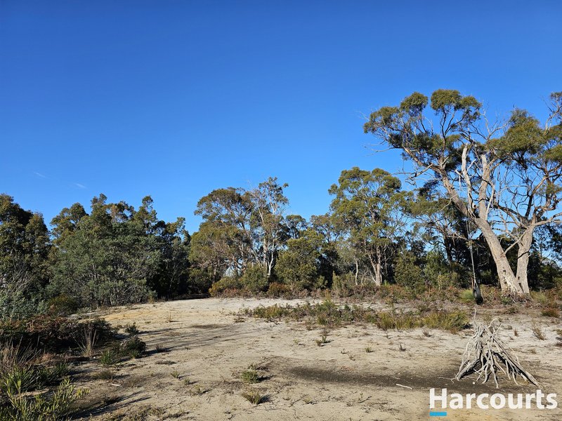 Photo - 259 Eagle Point Road, Bakers Beach TAS 7307 - Image 9