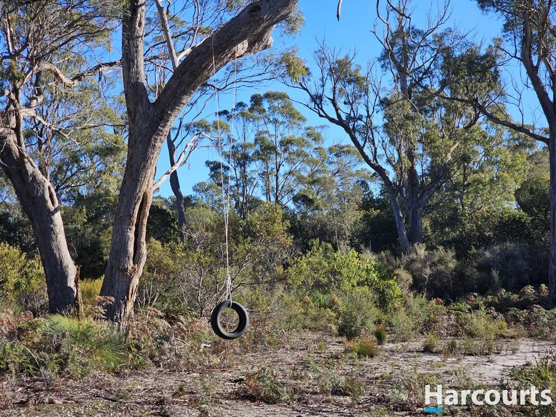 Photo - 259 Eagle Point Road, Bakers Beach TAS 7307 - Image 12