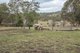 Photo - 259 Hursley Road, Torrington QLD 4350 - Image 20