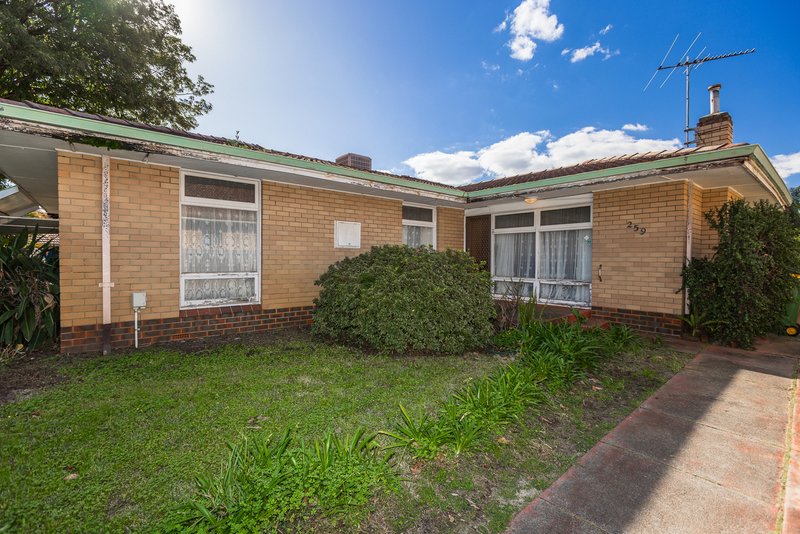 Photo - 259 Kooyong Road, Kewdale WA 6105 - Image 3