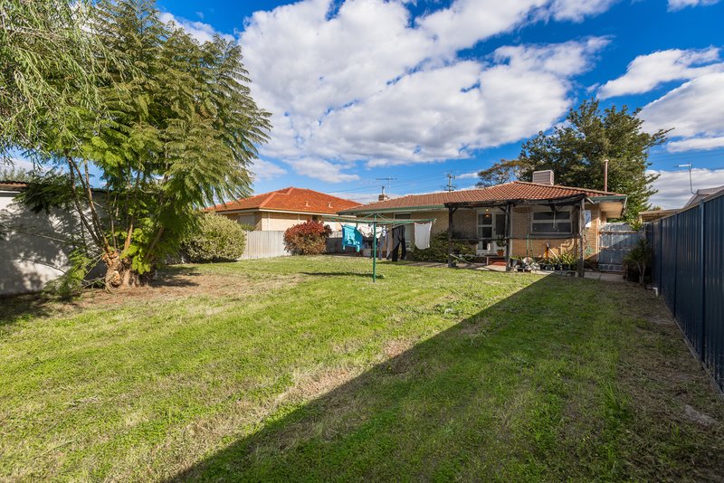 Photo - 259 Kooyong Road, Kewdale WA 6105 - Image 15