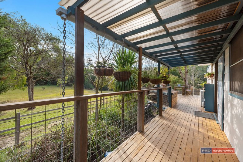 Photo - 259 Lower Bobo Road, Ulong NSW 2450 - Image 12