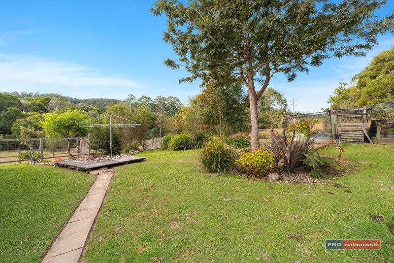 Photo - 259 Lower Bobo Road, Ulong NSW 2450 - Image 16